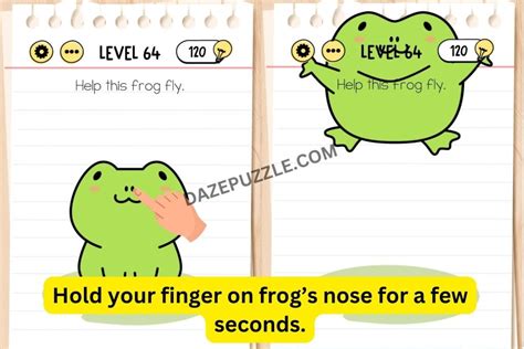 help this frog fly brain test.